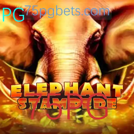 Descubra o Dinâmico Mundo de ElephantStampede - O Jogo que está Revolucionando com a Chave 75PG